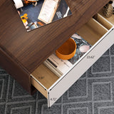 Color Combo Rectangular Coffee Table With Storage Walnut & White