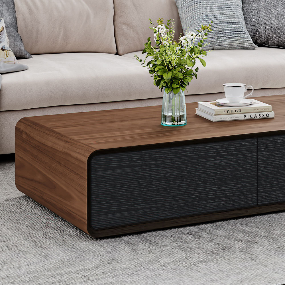 Color Combo Rectangular Coffee Table With Storage Walnut & Black