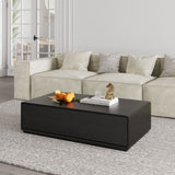 Color Combo Rectangular Coffee Table With Storage Black