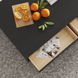 Color Combo Rectangular Coffee Table With Storage Black