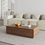 Color Combo Rectangular Coffee Table With Storage Walnut Color