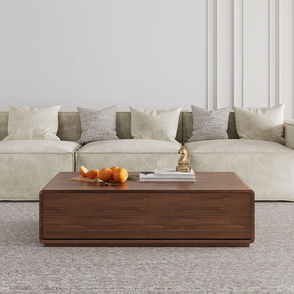 Color Combo Rectangular Coffee Table With Storage Walnut Color