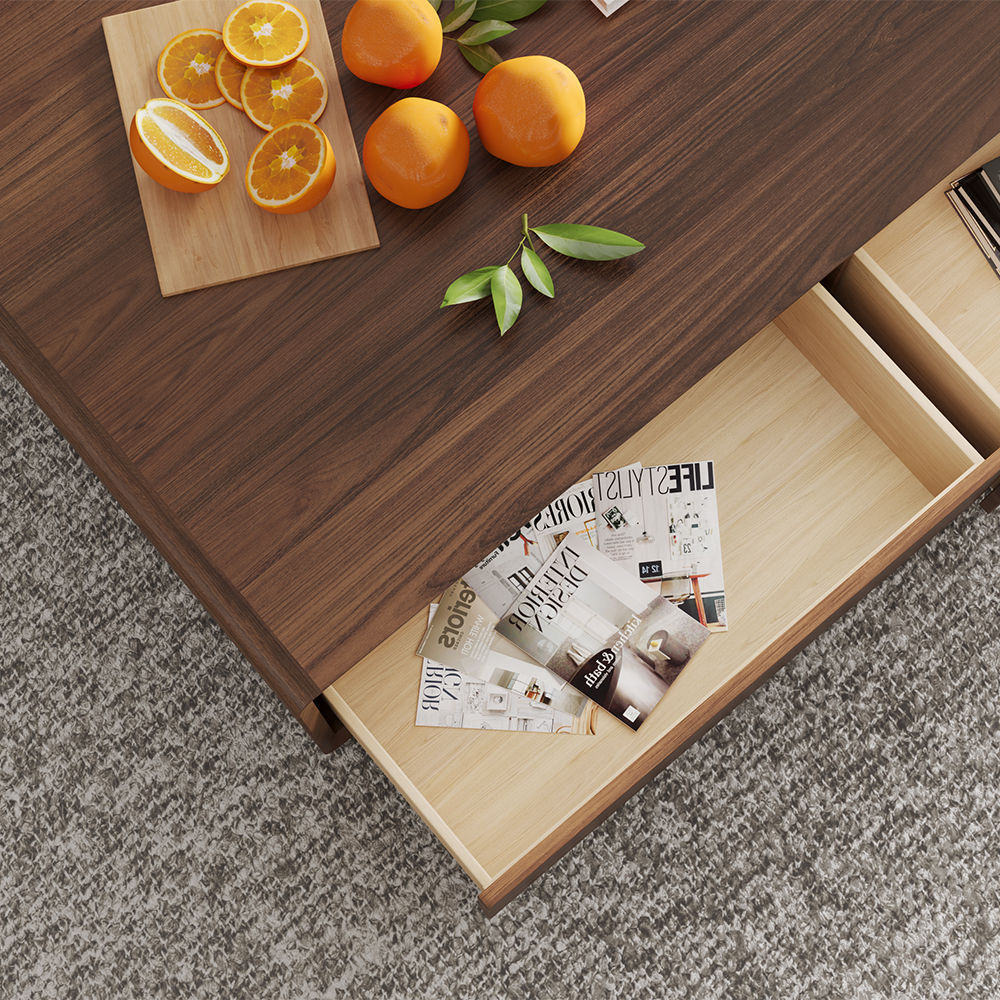 Color Combo Rectangular Coffee Table With Storage Walnut Color