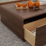 Color Combo Rectangular Coffee Table With Storage Walnut Color