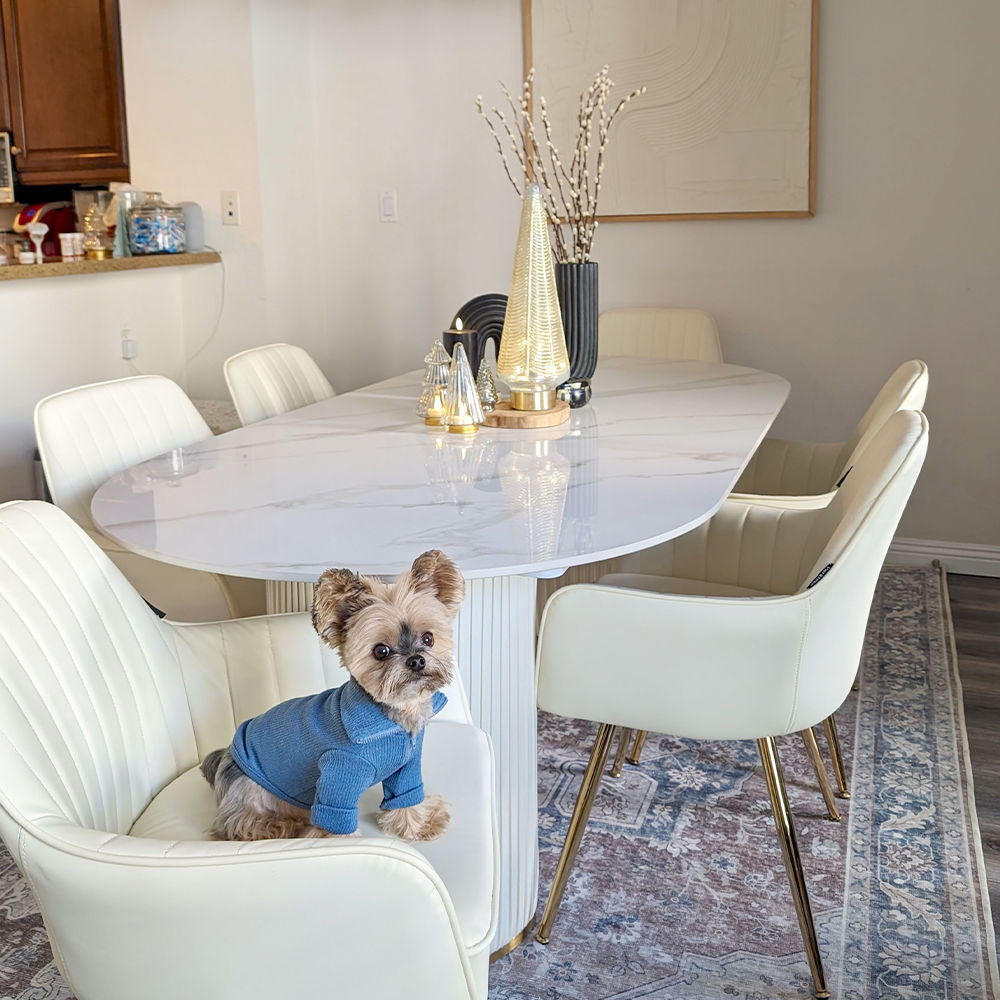 Modern Double Pedestal Dining Table With Oval Top White