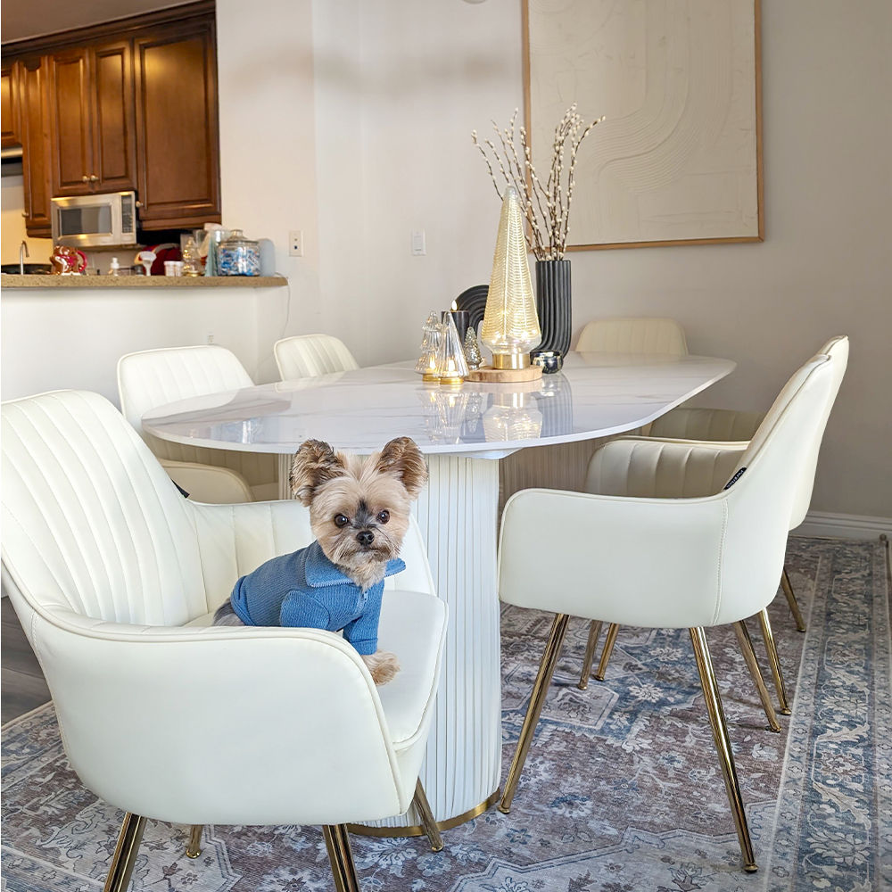 Modern Double Pedestal Dining Table With Oval Top White