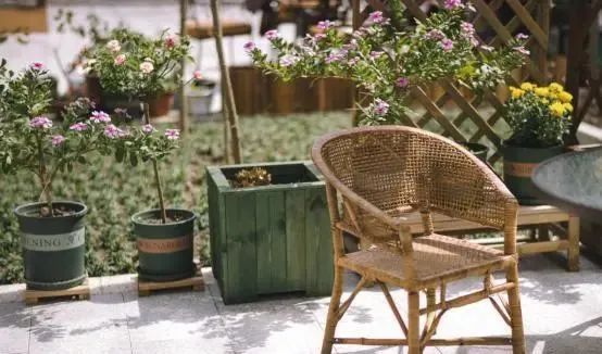 Rattan Furniture：Popular and Timeless Worldwide